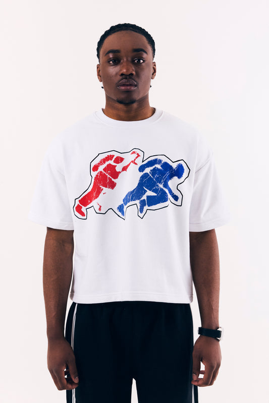 'Flee From Sin' T-Shirt
